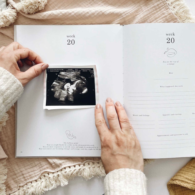 Pregnancy Journal - White
